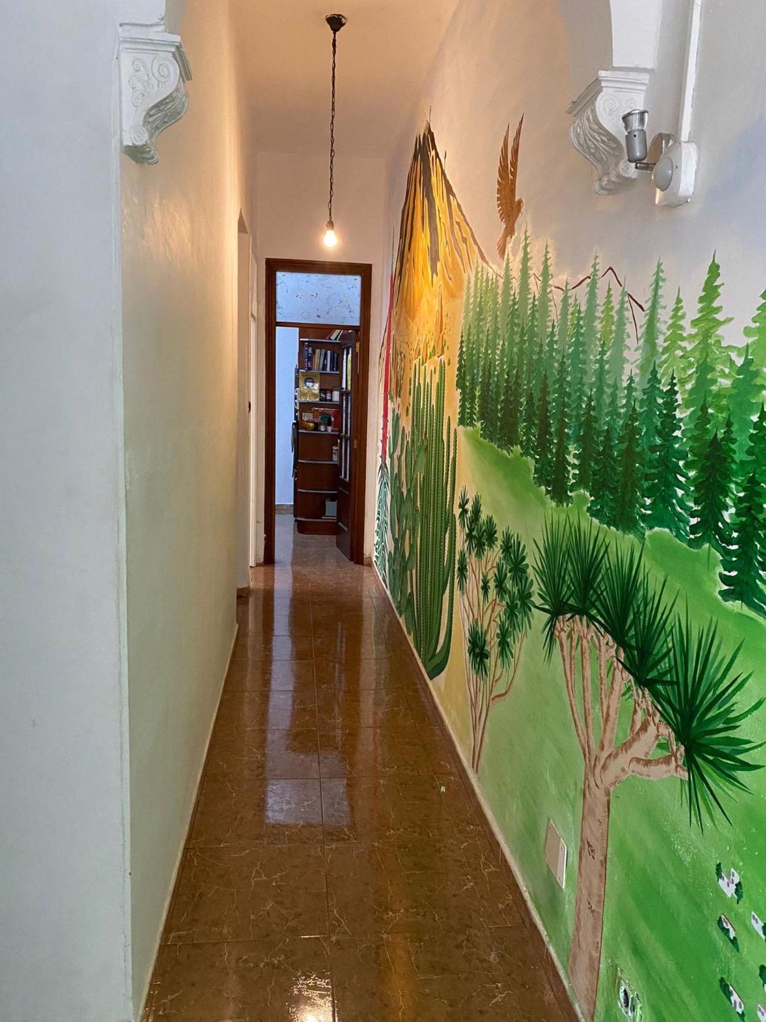 Drago Nest Hostel